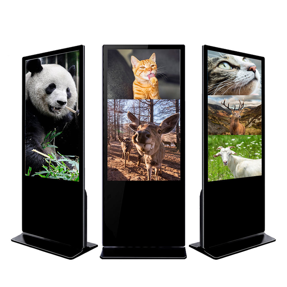 Màn Hình Quảng Cáo Chân Đứng Kiosk MeekBase 55 inch - M55FS