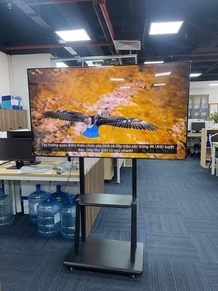 CHAN DO TIVI DI DONG CO BANG XE 55 INCH, 60 INCH, 65 INCH