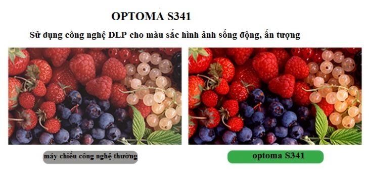 OPTOMA S341 DA NANG - MAY CHIEU OPTOMA
